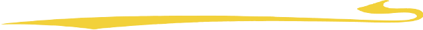 designer underline